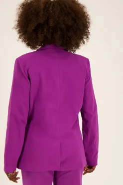 My Jewellery Blazer Mauve Effet Lin Hot