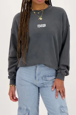 My Jewellery Sweat Paris Fleuri Gris Best