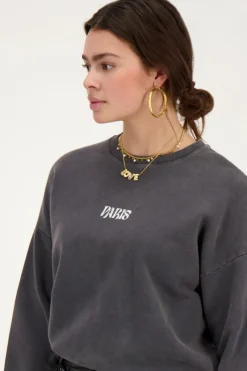 My Jewellery Sweat Paris Fleuri Gris Best