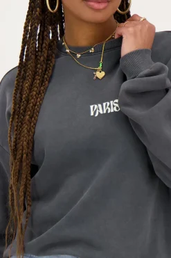 My Jewellery Sweat Paris Fleuri Gris Best